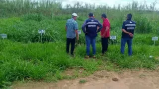 Rio das Ostras busca inovações tecnológicas para impulsionar agricultura e pecuária local